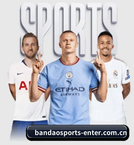 半岛体育官方入口的方向 | BandaoSports